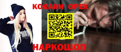 шишки Кингисепп