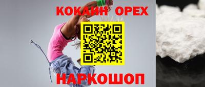 шишки Кингисепп