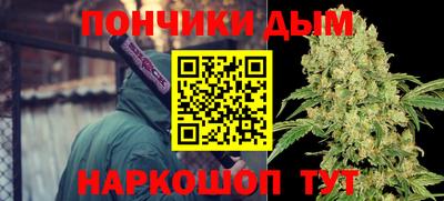 шишки Кингисепп