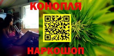 шишки Кингисепп