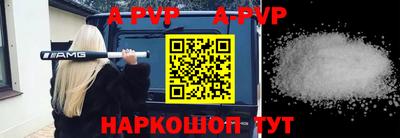 шишки Кингисепп