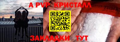 шишки Кингисепп
