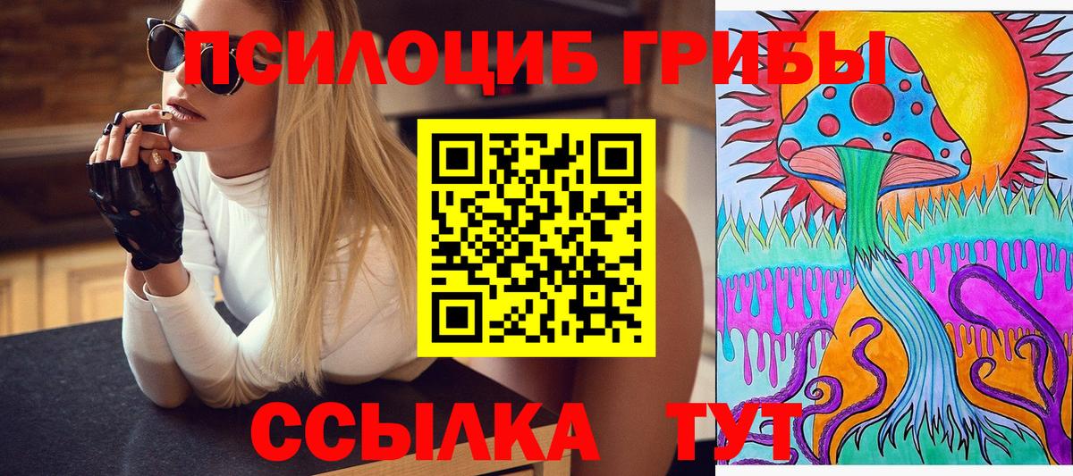 Псилоцибиновые грибы Cubensis  Галлюциногенные грибы GOLDEN TEACHER  Ирбит  Вход с VPN 
