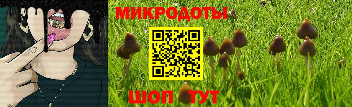 Галлюциногенные грибы Psilocybine cubensis Ирбит